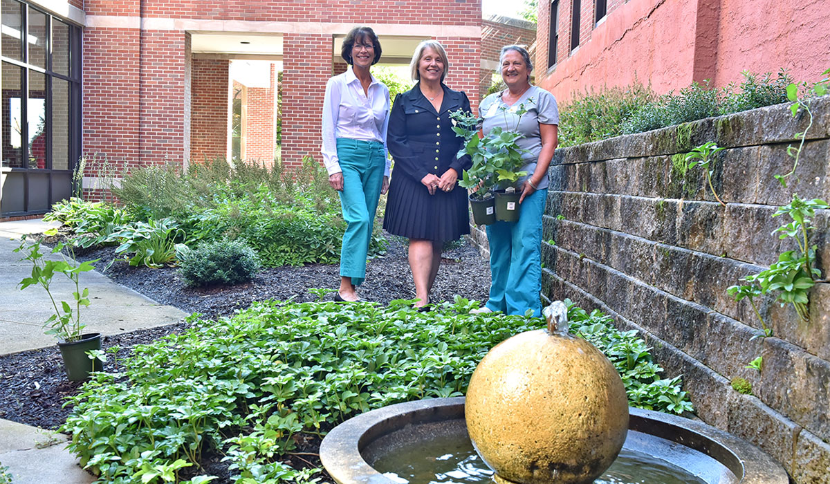 The Healing Garden